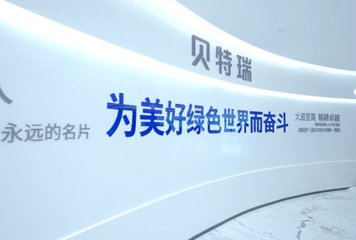 高首效硅氧負(fù)極材料奪冠灣高賽，賀雪琴深度解讀項目含金量